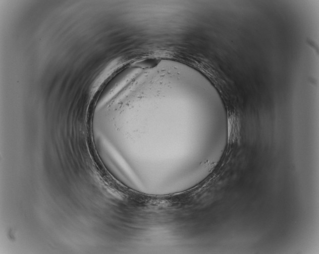 X0000099440195200805231726