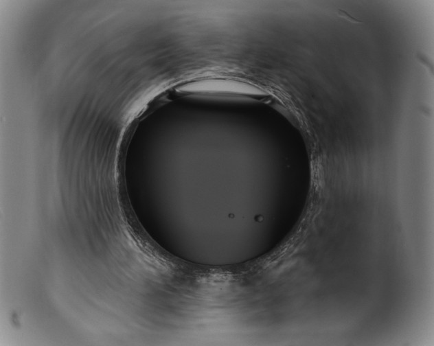 X0000099440196200805231726