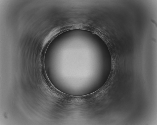 X0000099440198200805231726