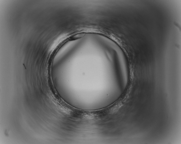 X0000099440199200805231726
