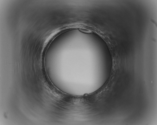 X0000099440200200805231726