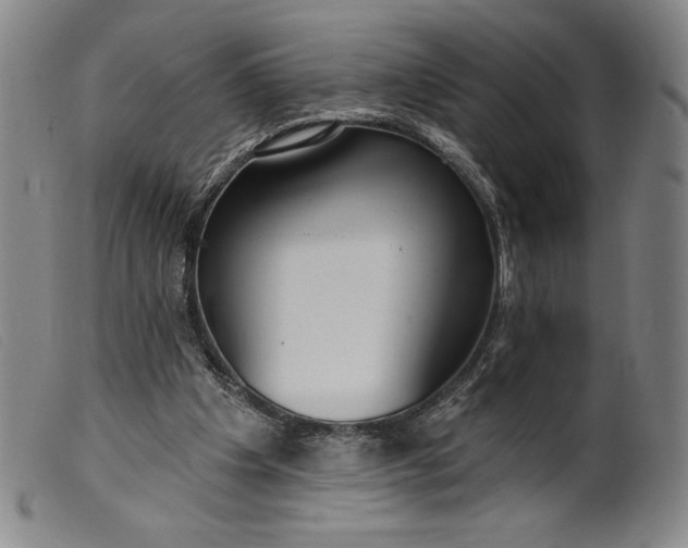 X0000099440201200805231726
