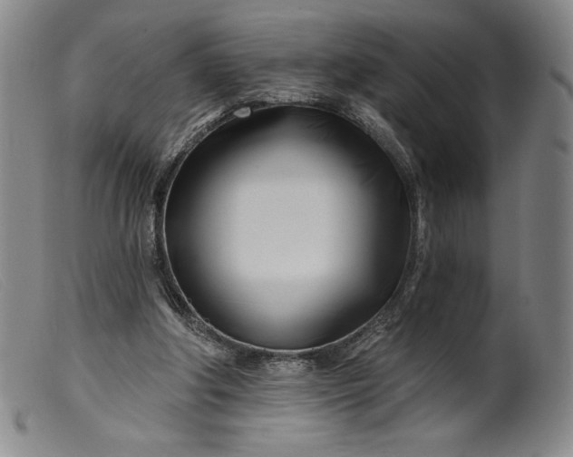 X0000099440202200805231725