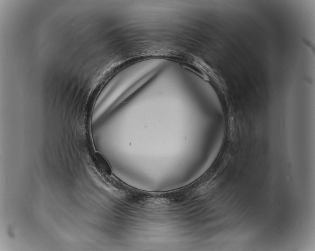 X0000099440203200805231725