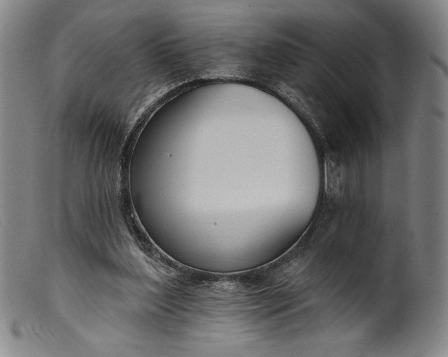 X0000099440204200805231725