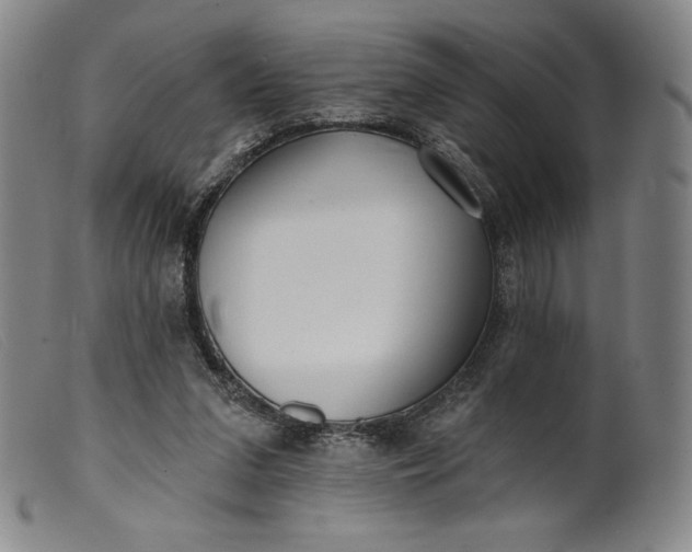 X0000099440207200805231725