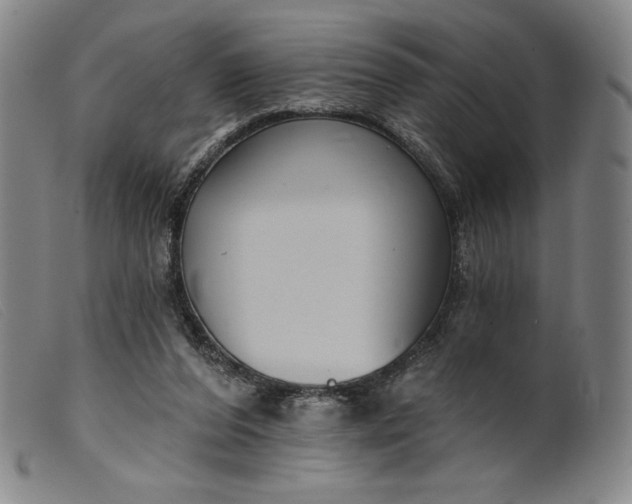 X0000099440208200805231725