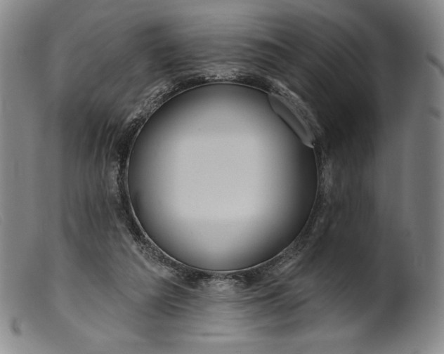X0000099440209200805231725