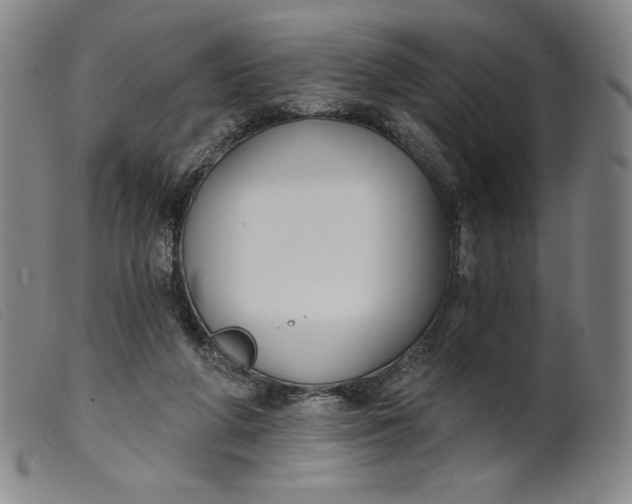 X0000099440210200805231725