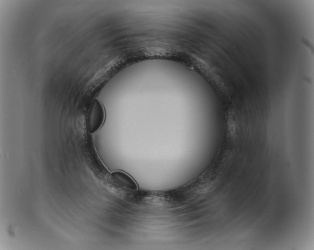 X0000099440211200805231725
