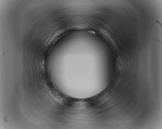 X0000099440212200805231725