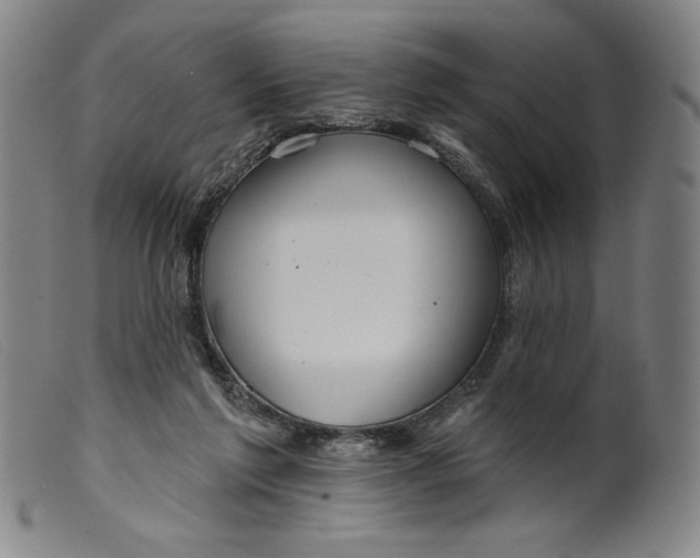 X0000099440213200805231725