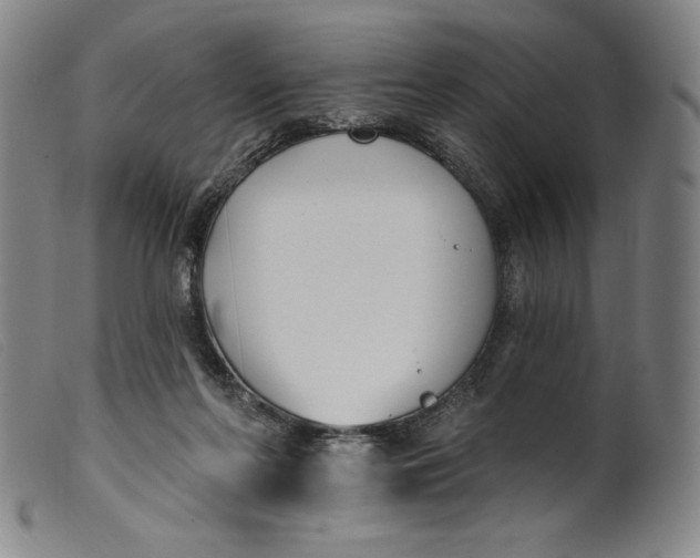 X0000099440214200805231725