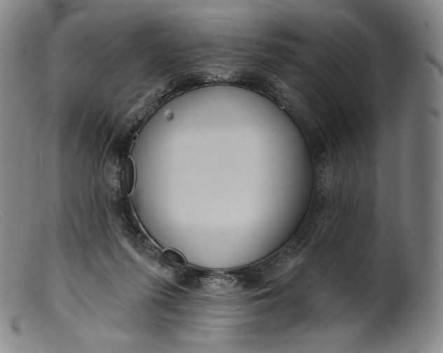 X0000099440215200805231725