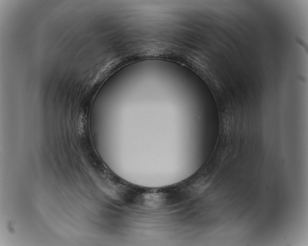 X0000099440216200805231725