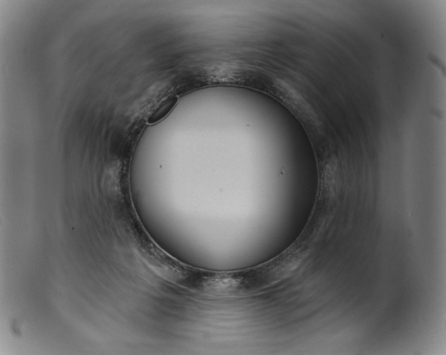 X0000099440217200805231725