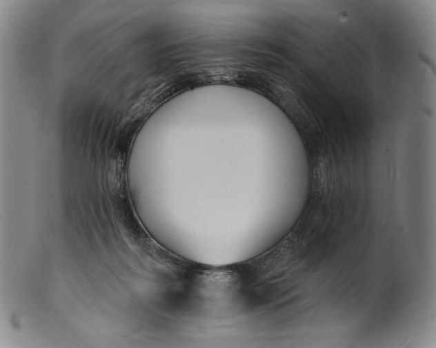X0000099440218200805231725