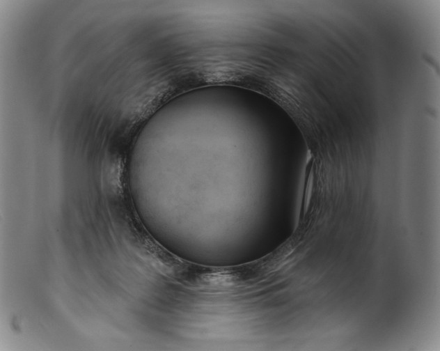 X0000099440219200805231725