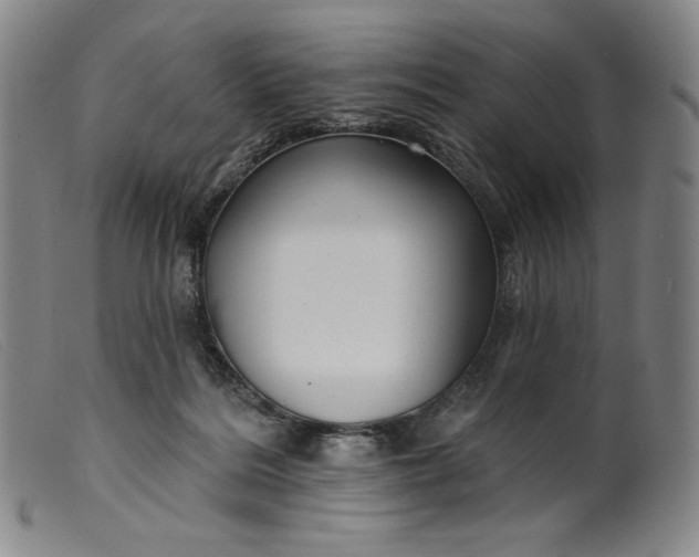 X0000099440220200805231725