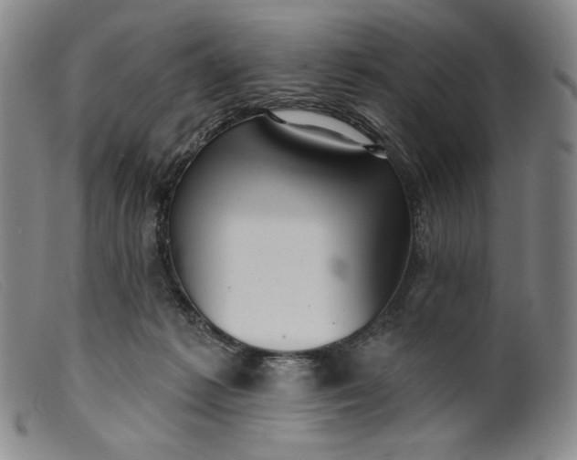 X0000099440221200805231725