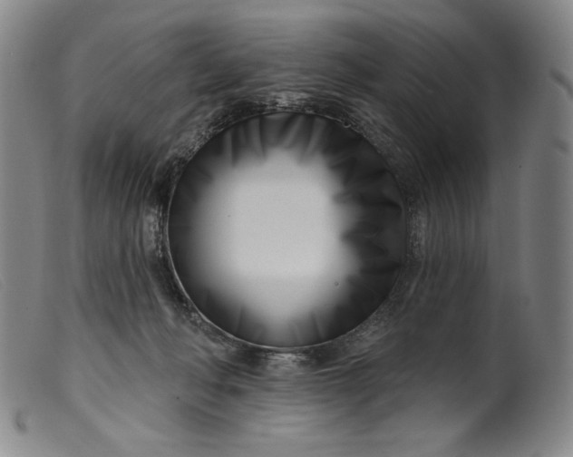 X0000099440222200805231725