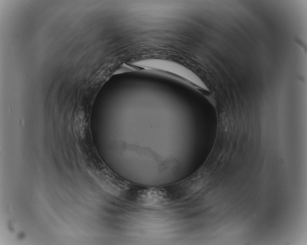 X0000099440223200805231725