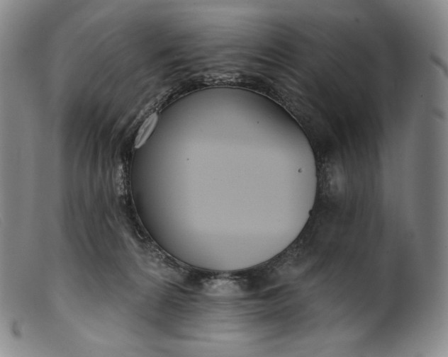 X0000099440224200805231725
