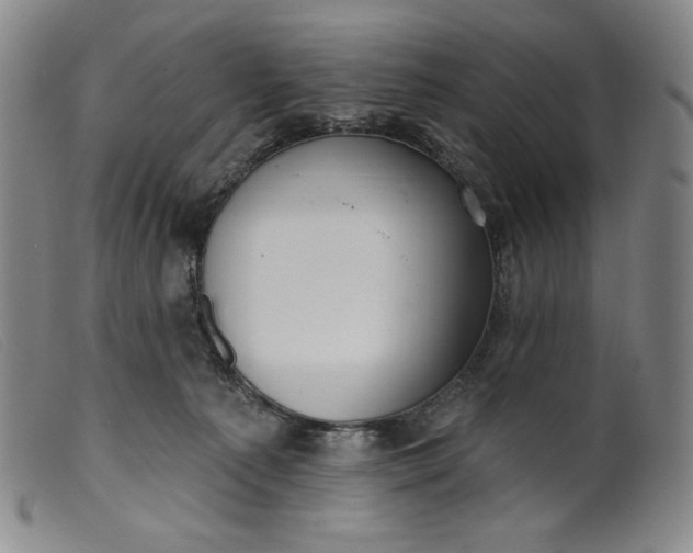 X0000099440225200805231725