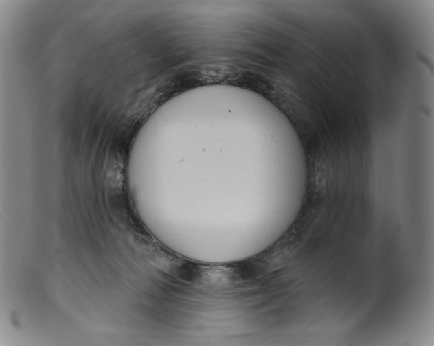 X0000099440226200805231725