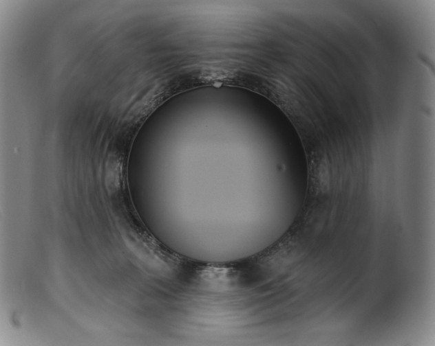 X0000099440227200805231725