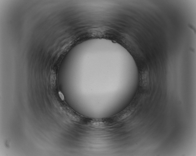 X0000099440228200805231725