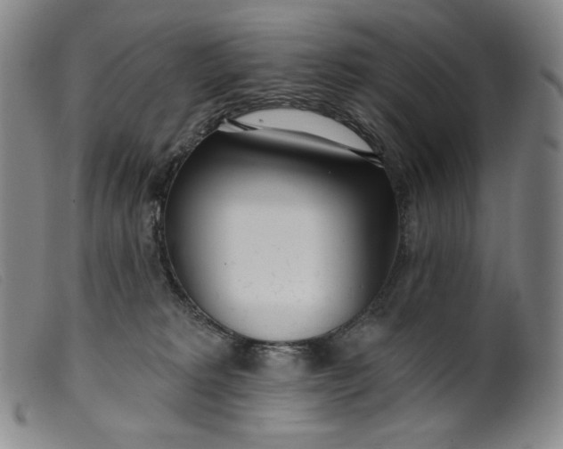 X0000099440229200805231725