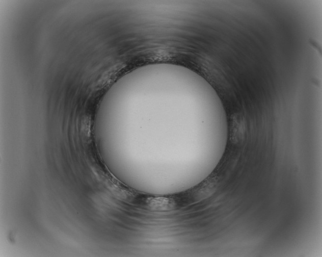 X0000099440230200805231725
