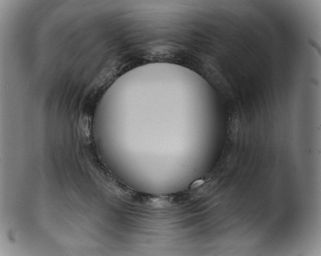 X0000099440232200805231725