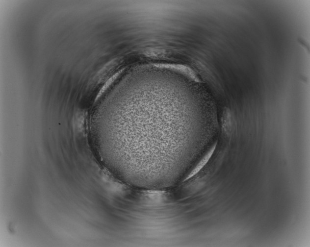 X0000099440233200805231725