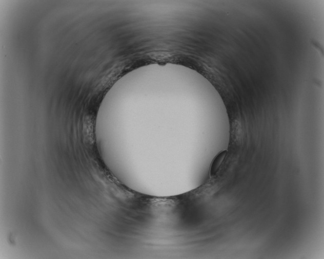 X0000099440234200805231725