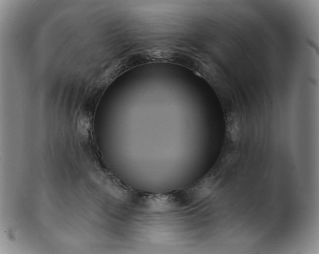 X0000099440235200805231725