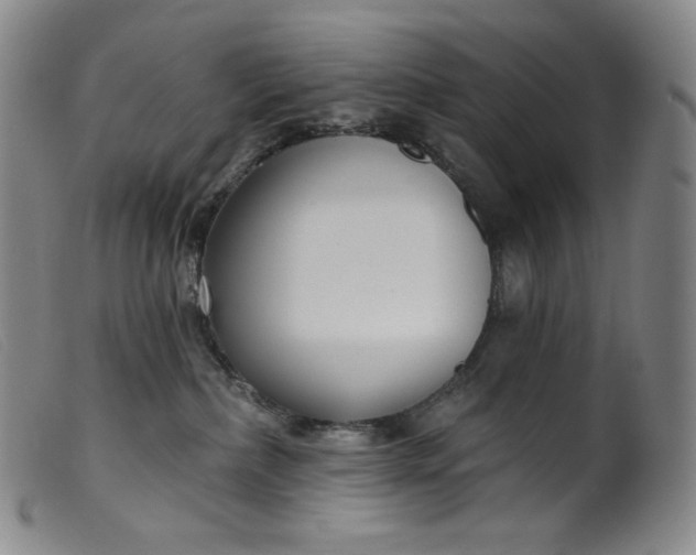X0000099440236200805231725