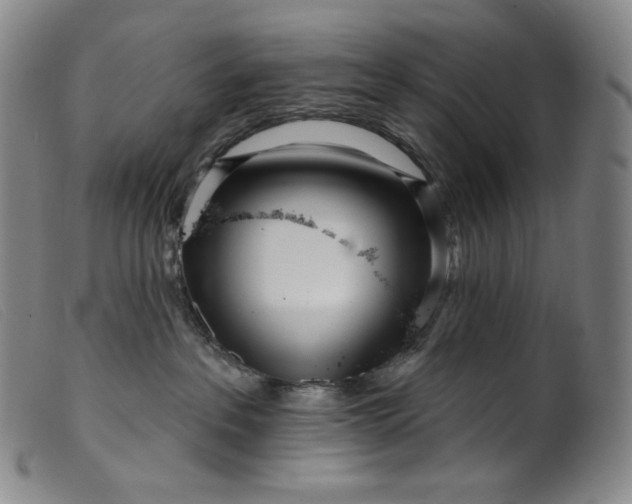 X0000099440237200805231725