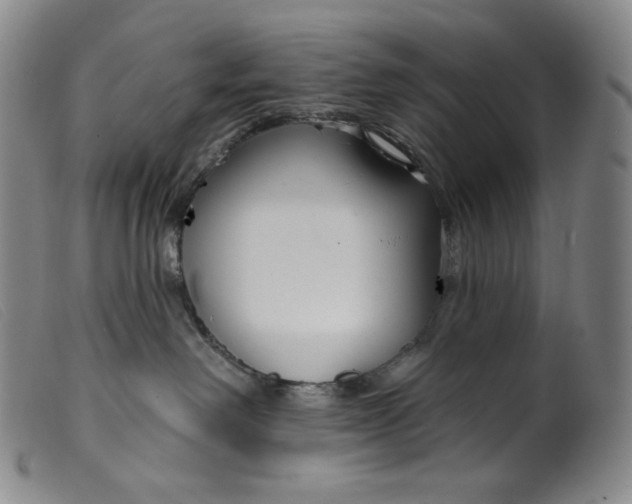 X0000099440238200805231725