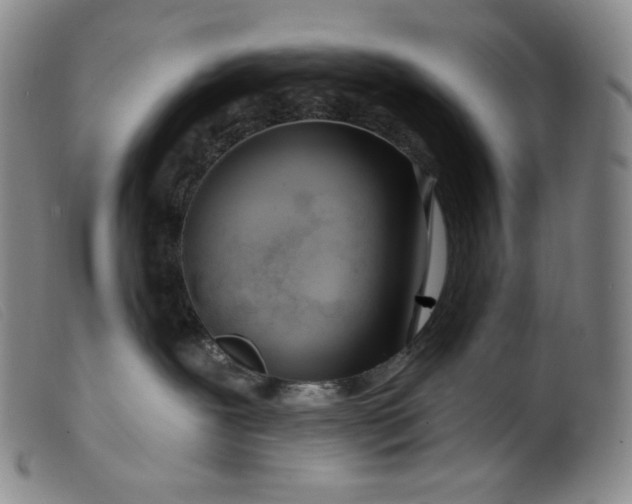 X0000099440239200805231725