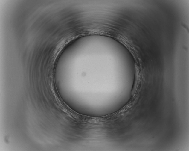 X0000099440241200805231724