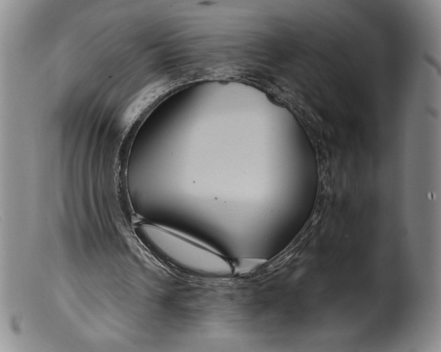 X0000099440242200805231724
