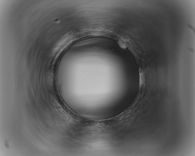 X0000099440243200805231724