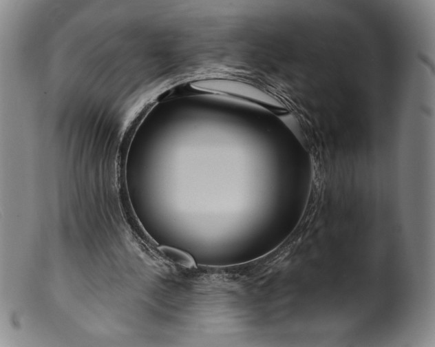 X0000099440244200805231724