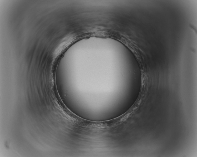 X0000099440245200805231724