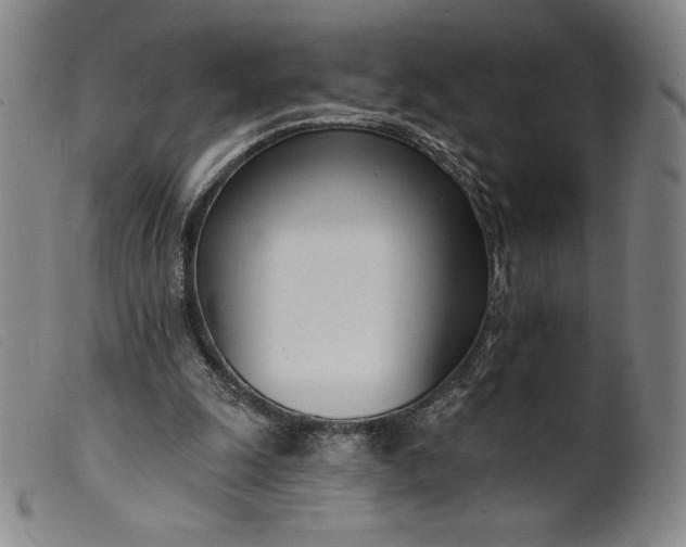 X0000099440247200805231724