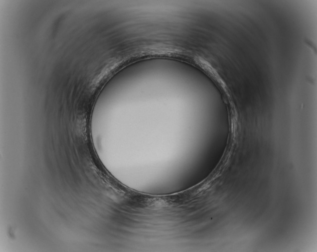 X0000099440249200805231724