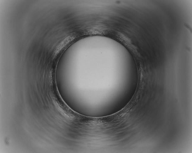X0000099440250200805231724