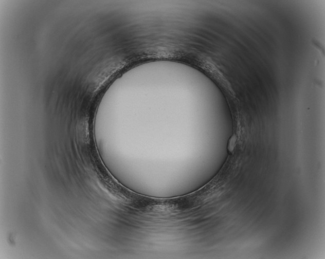 X0000099440251200805231724